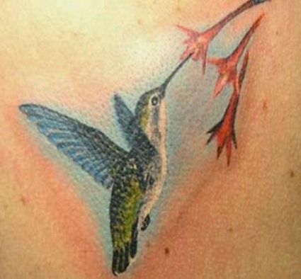 Hummingbird Image Tattoo